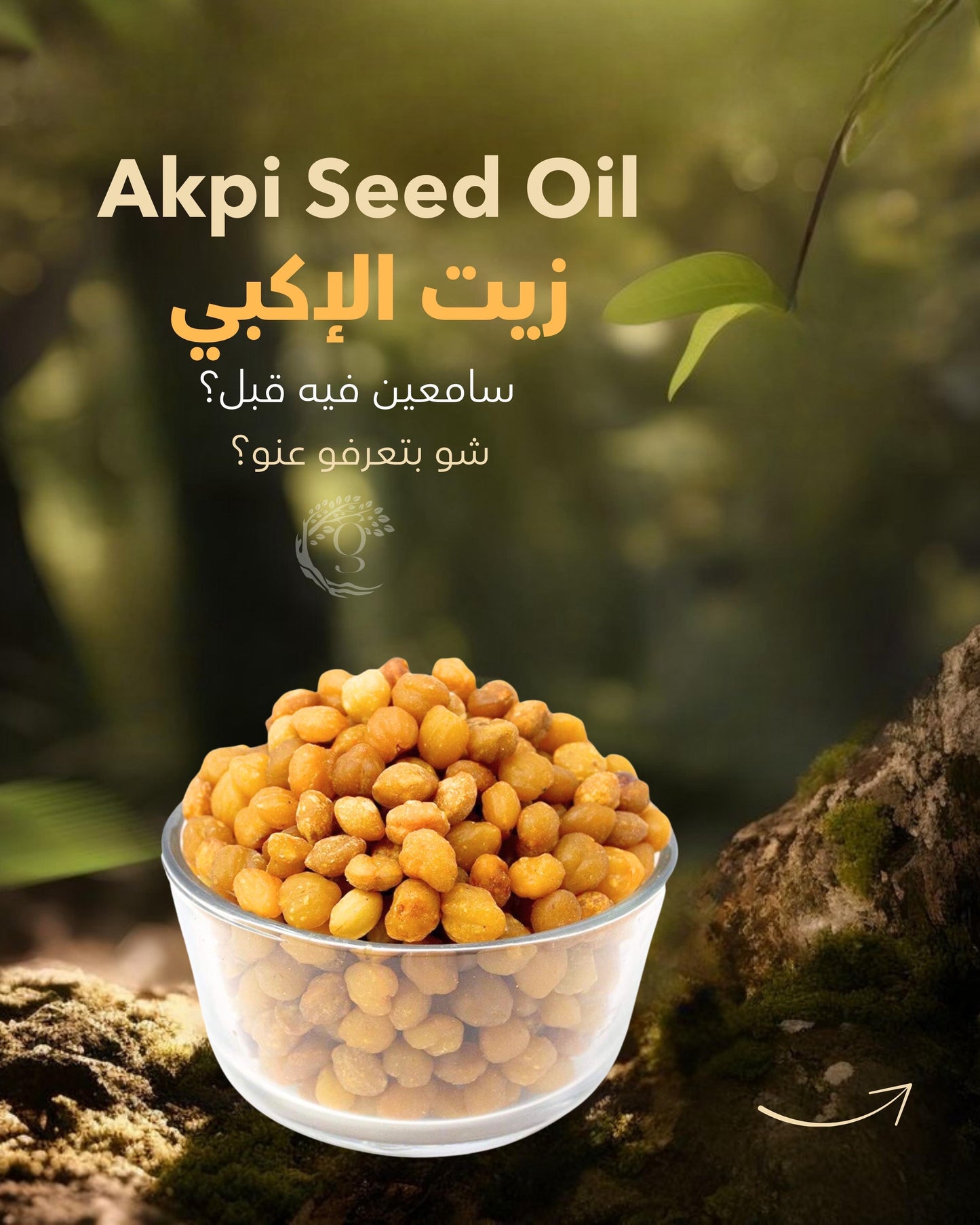 Akpi oil زيت الأكبي( carrier oil )