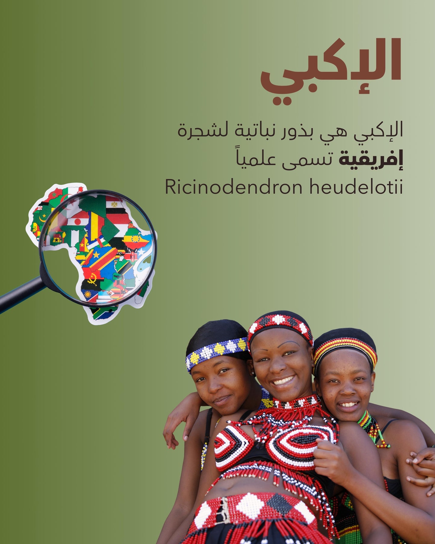 Akpi oil زيت الأكبي( carrier oil )